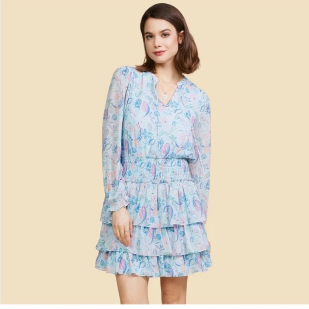 Skies Are Blue  Revolve Pastel light blue Floral Long Sleeve Dress
